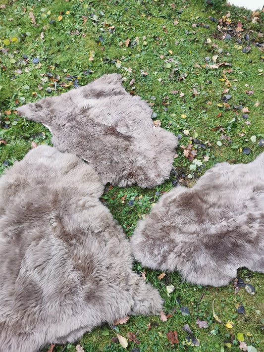 Merino Schaffell Taupe - Premium Lammfell mit dichter Wolle 80-130 cm