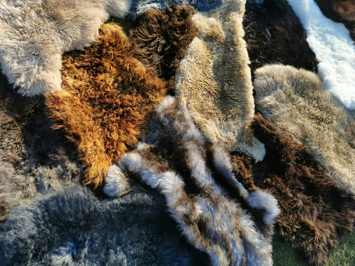 Organic. Sheepskins with minor flaws