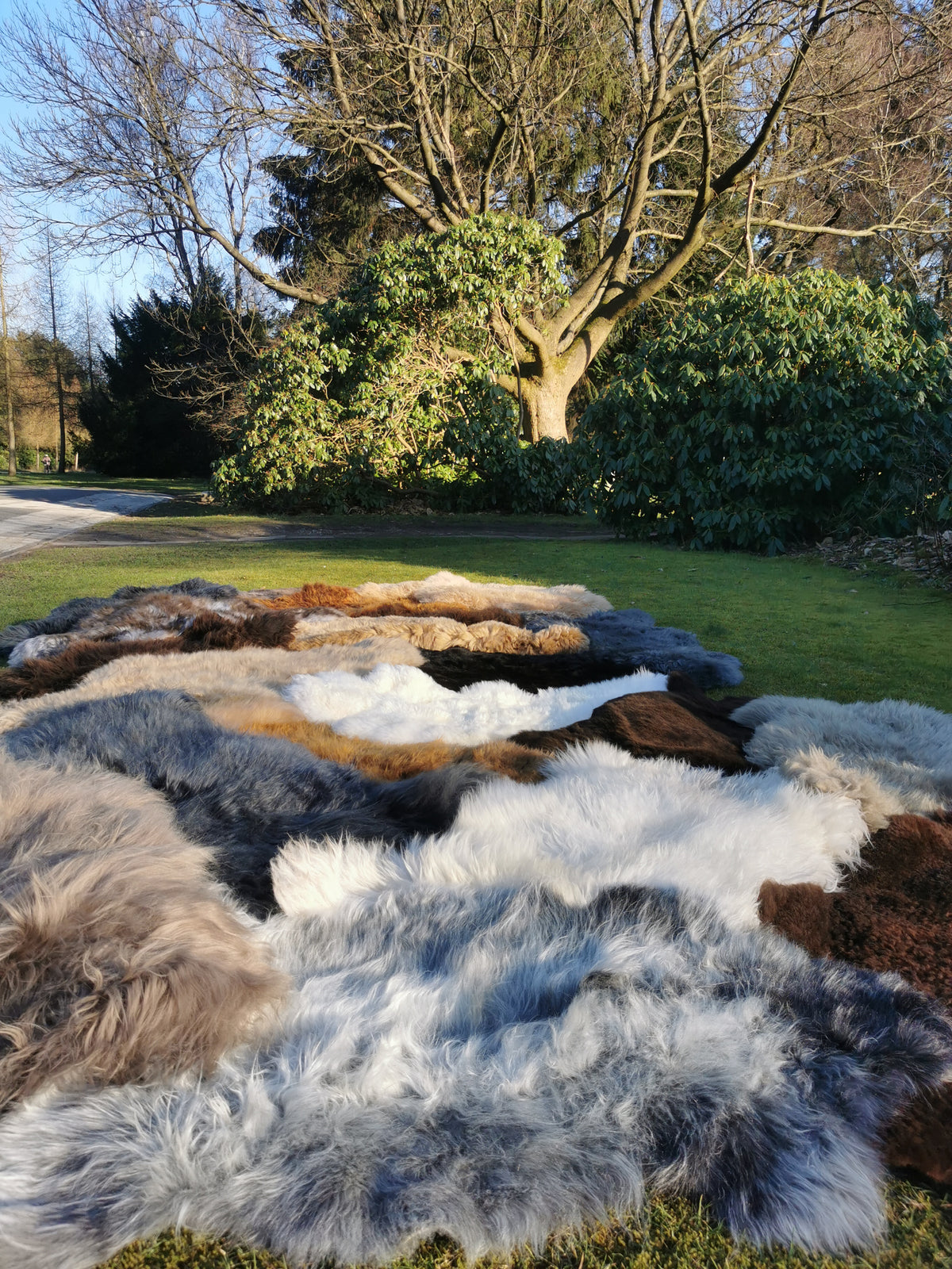 Organic. Sheepskins with minor flaws