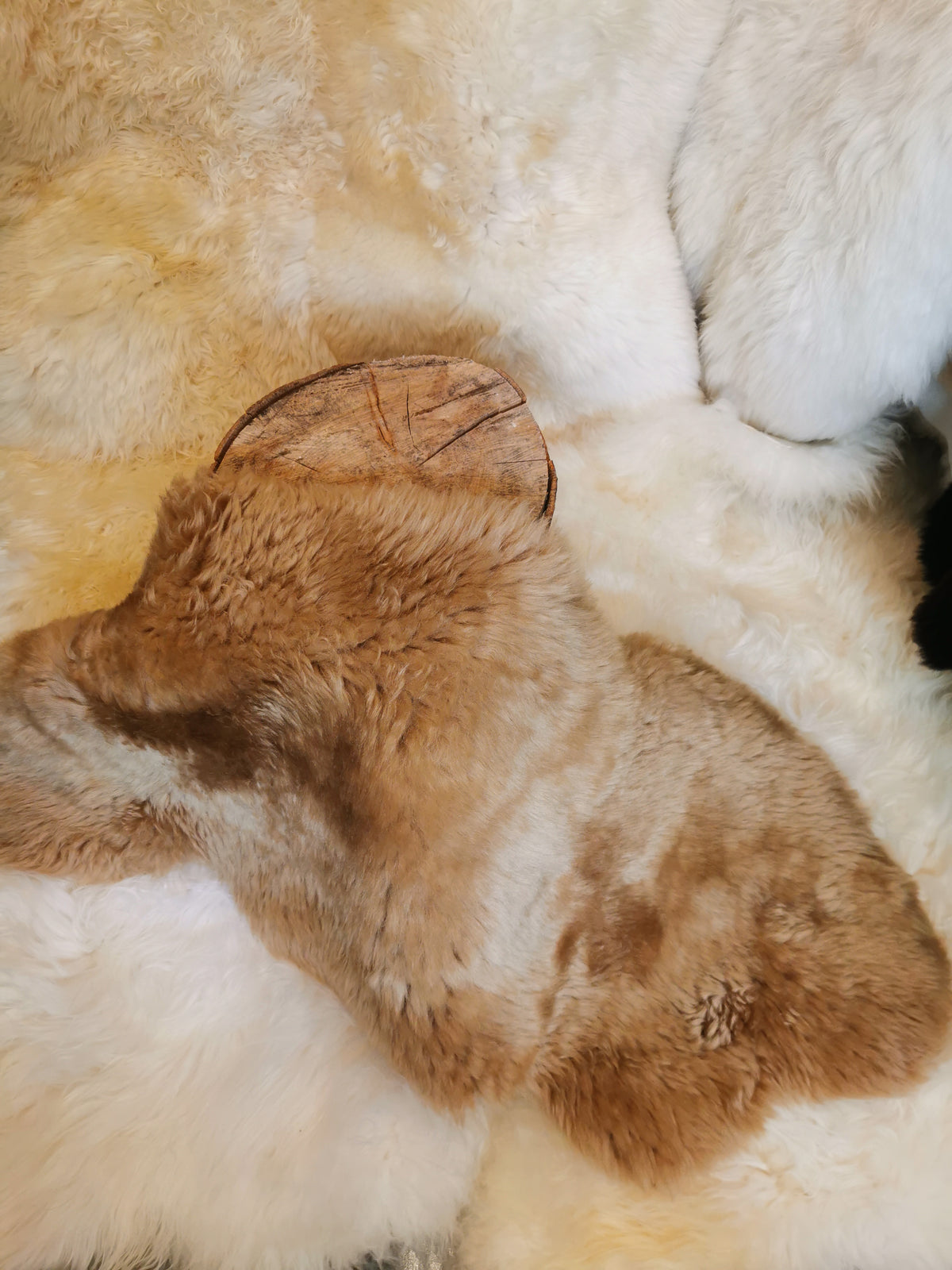 English premium furs in beige