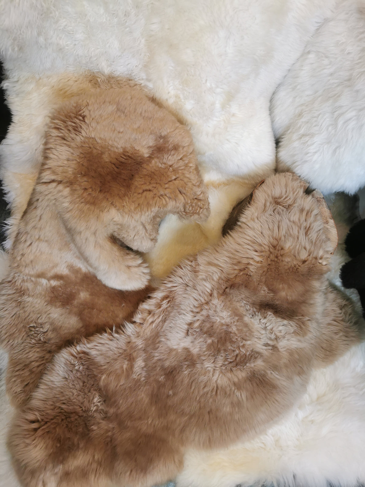 English premium furs in beige