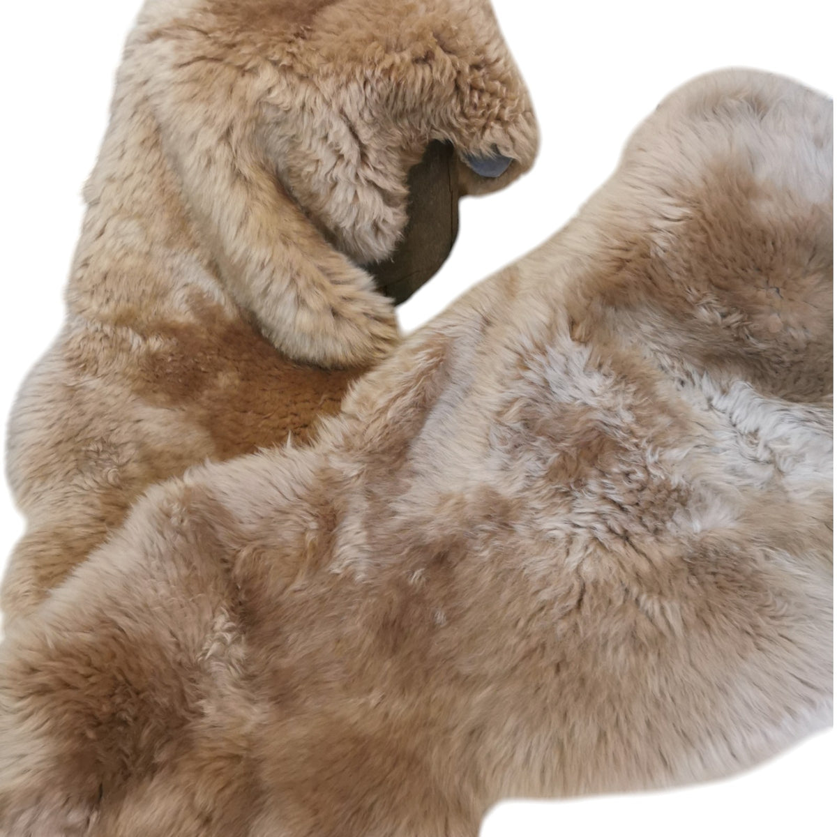 Schaffell 140 cm Beige - Echtes XXL Lammfell, Feltteppich & Sitzauflage