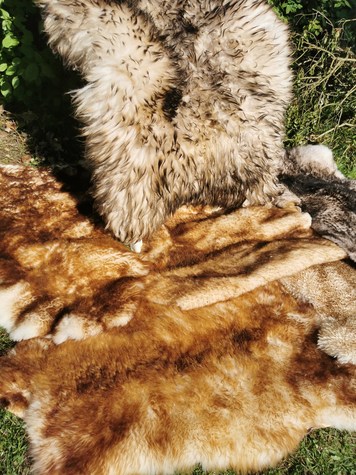 Flamed premium furs in light &amp; dark
