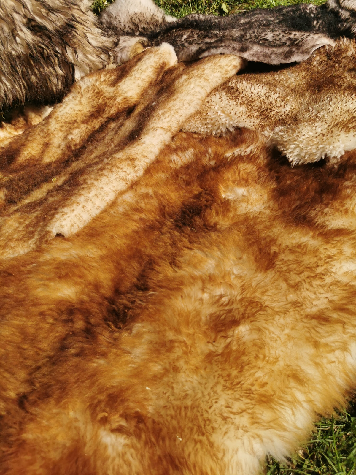 Flamed premium furs in light &amp; dark