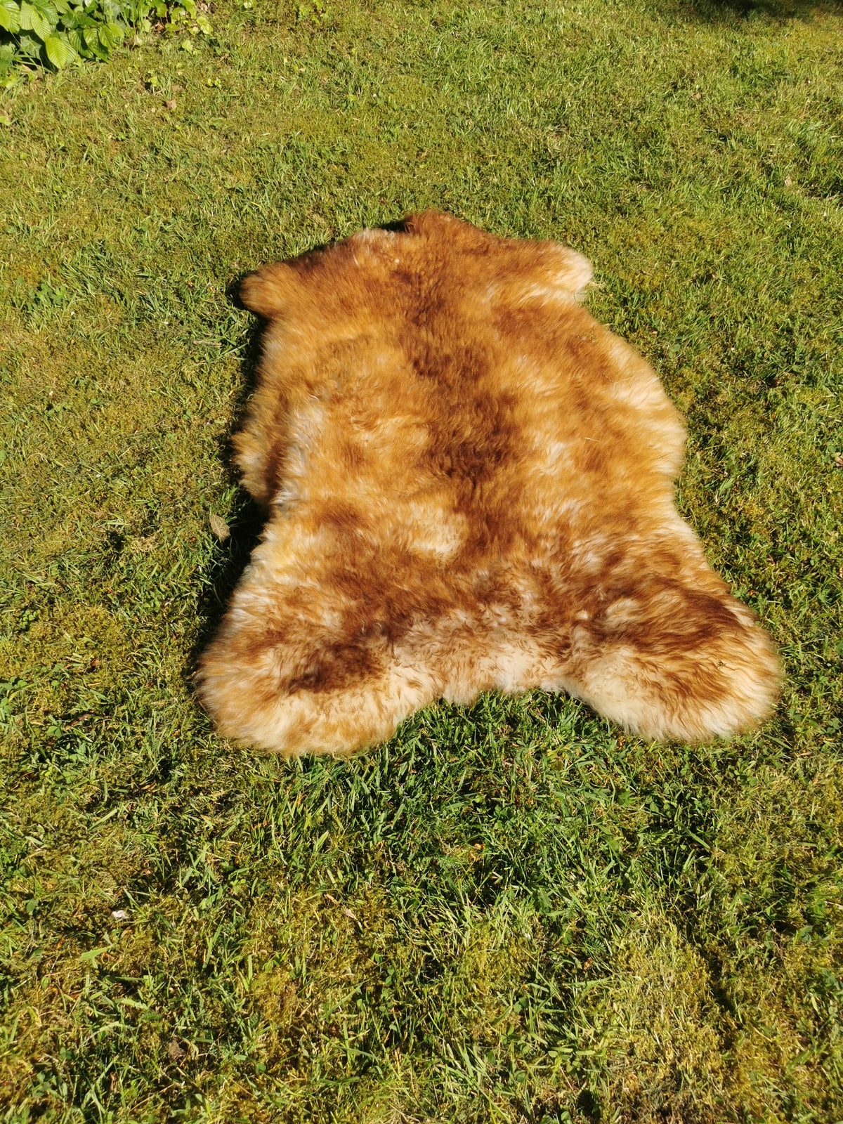 Flamed premium furs in light &amp; dark