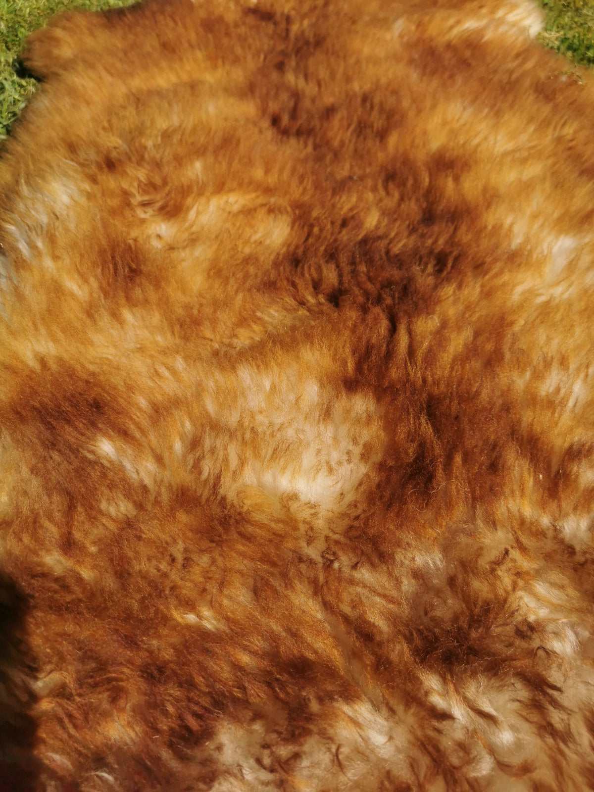 Flamed premium furs in light &amp; dark