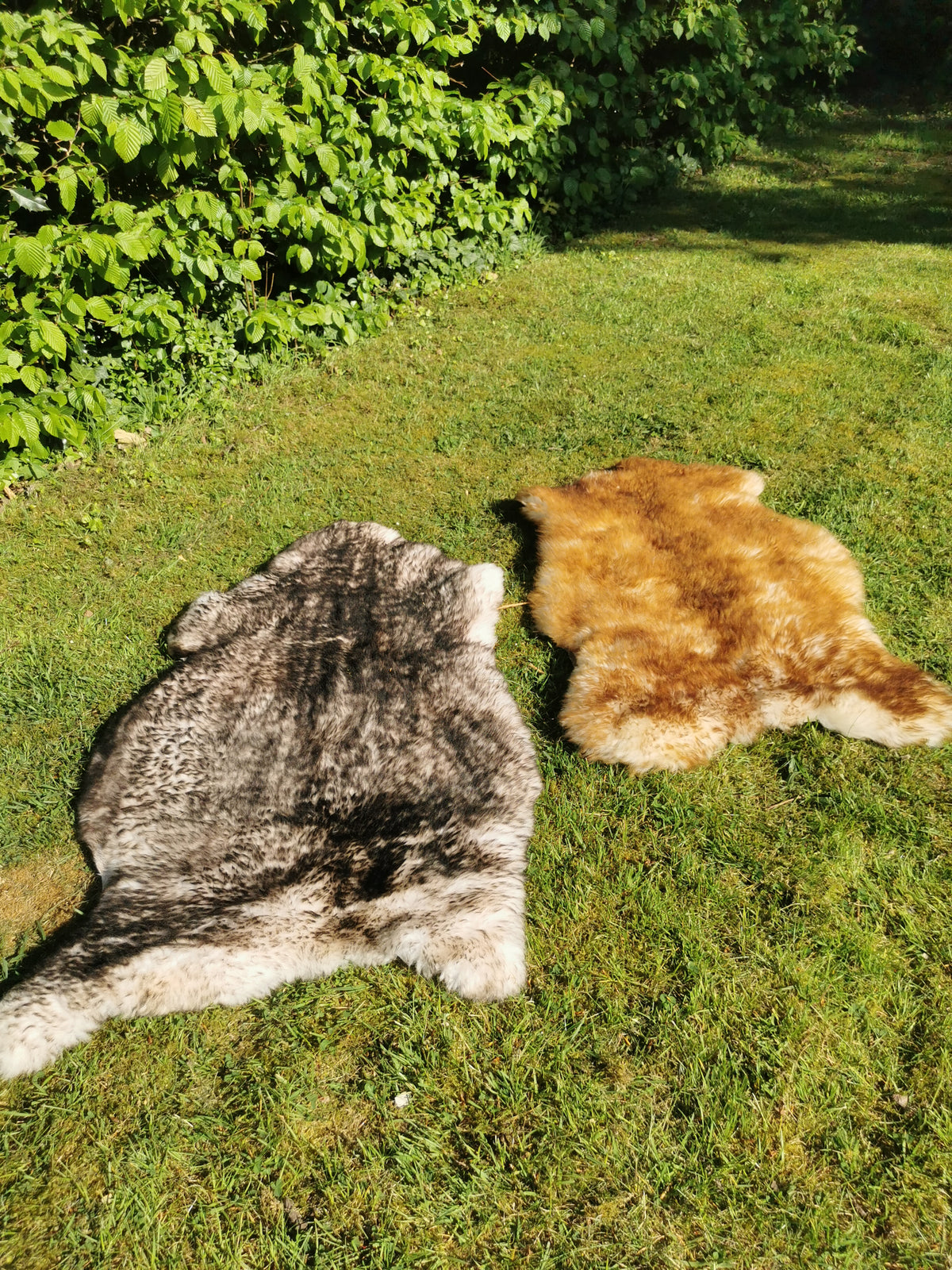 Flamed premium furs in light &amp; dark