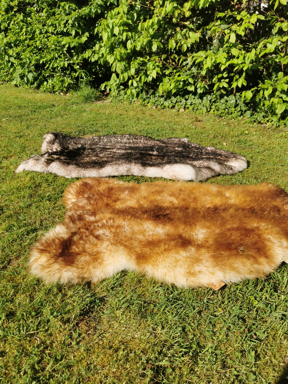 Flamed premium furs in light &amp; dark