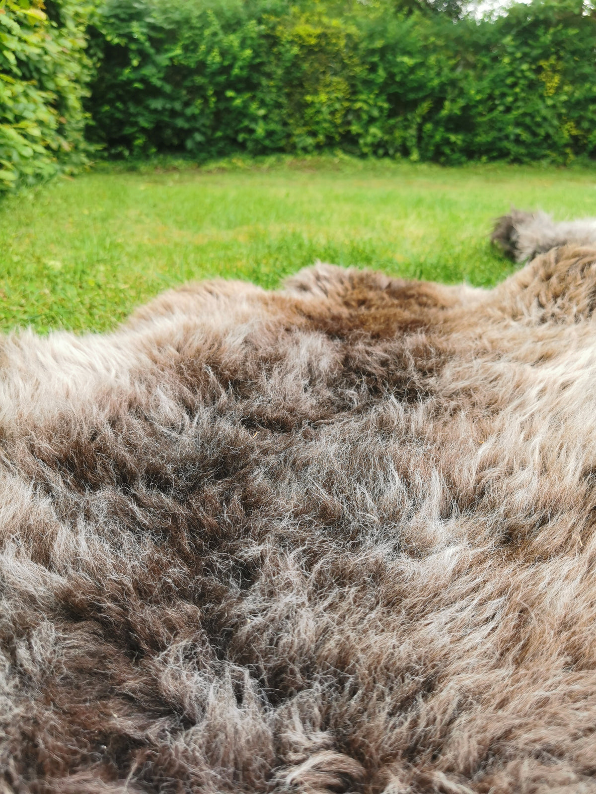 Rare premium furs in natural brown and grey melange