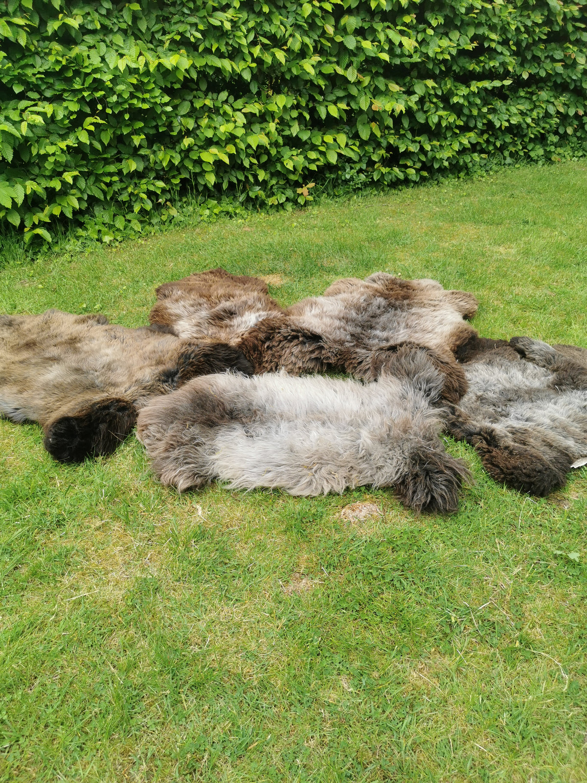 Rare premium furs in natural brown and grey melange