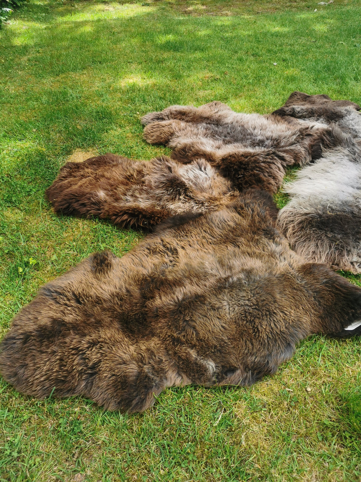 Rare premium furs in natural brown and grey melange