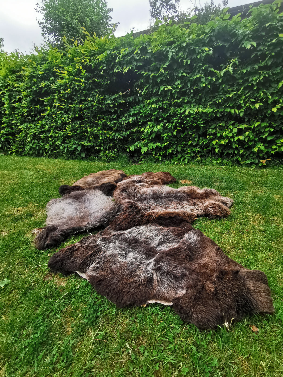 Rare premium furs in natural brown and grey melange