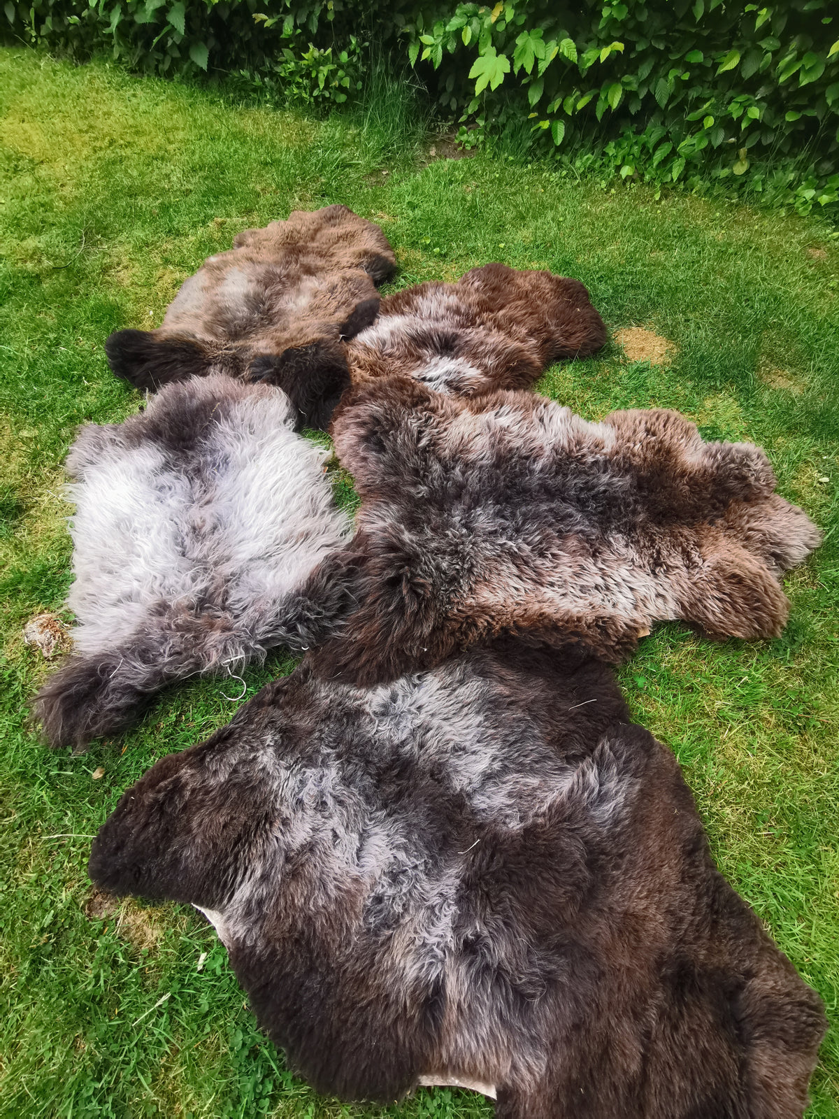 Rare premium furs in natural brown and grey melange