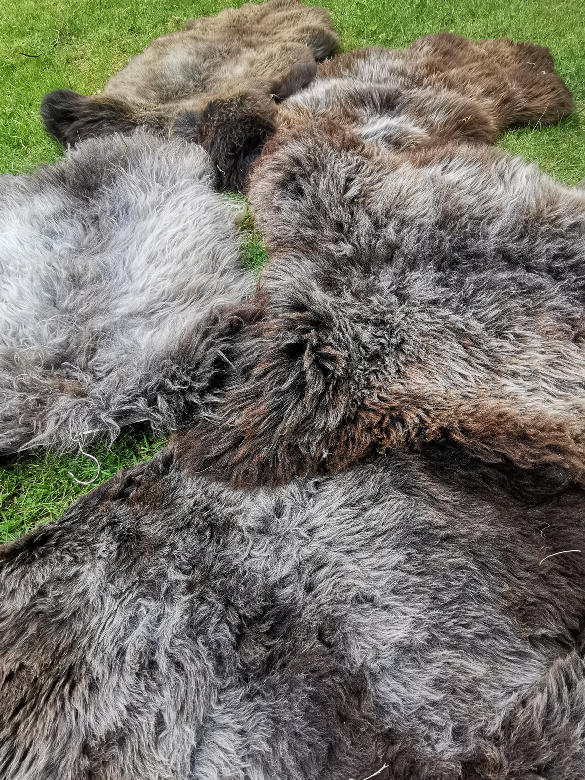 Rare premium furs in natural brown and grey melange