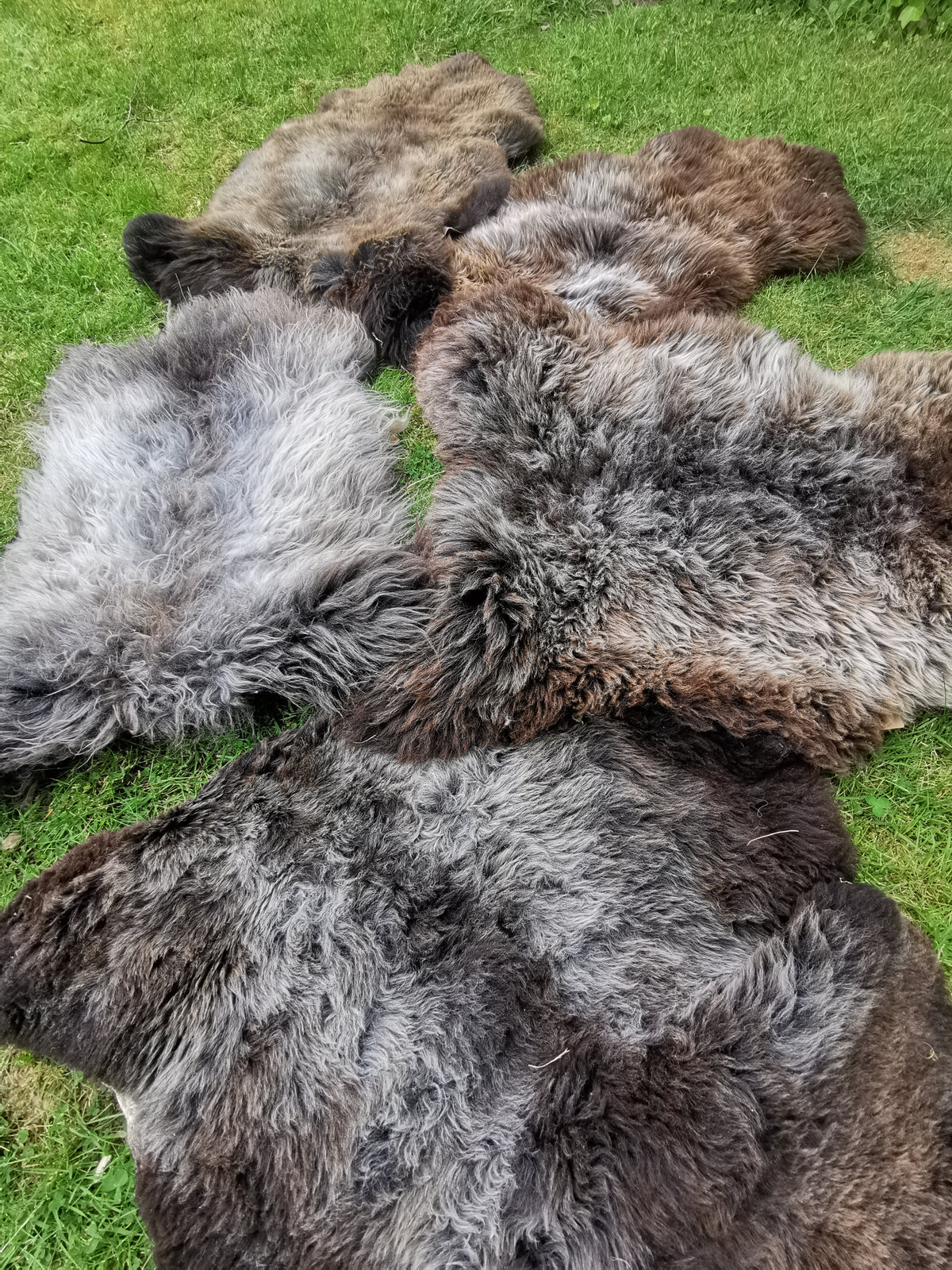 Rare premium furs in natural brown and grey melange