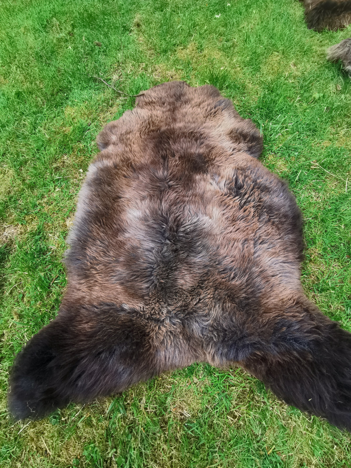 Rare premium furs in natural brown and grey melange