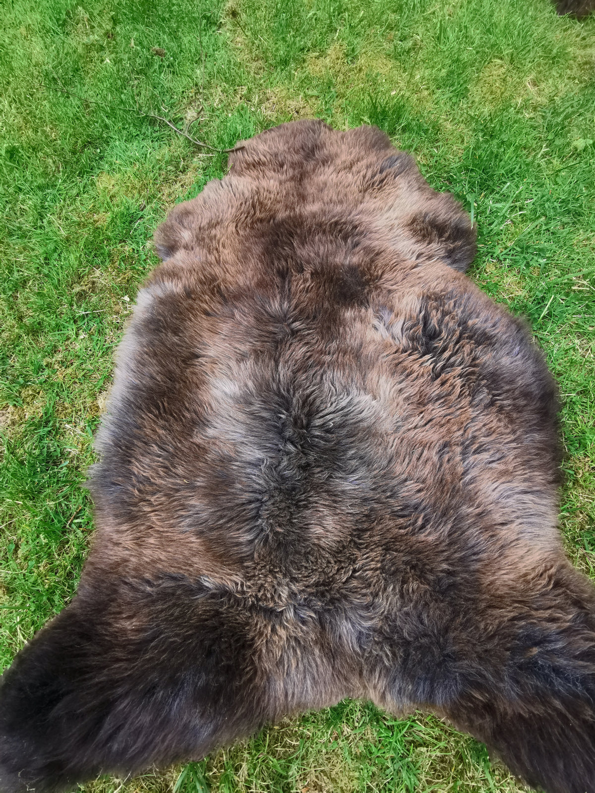 Rare premium furs in natural brown and grey melange