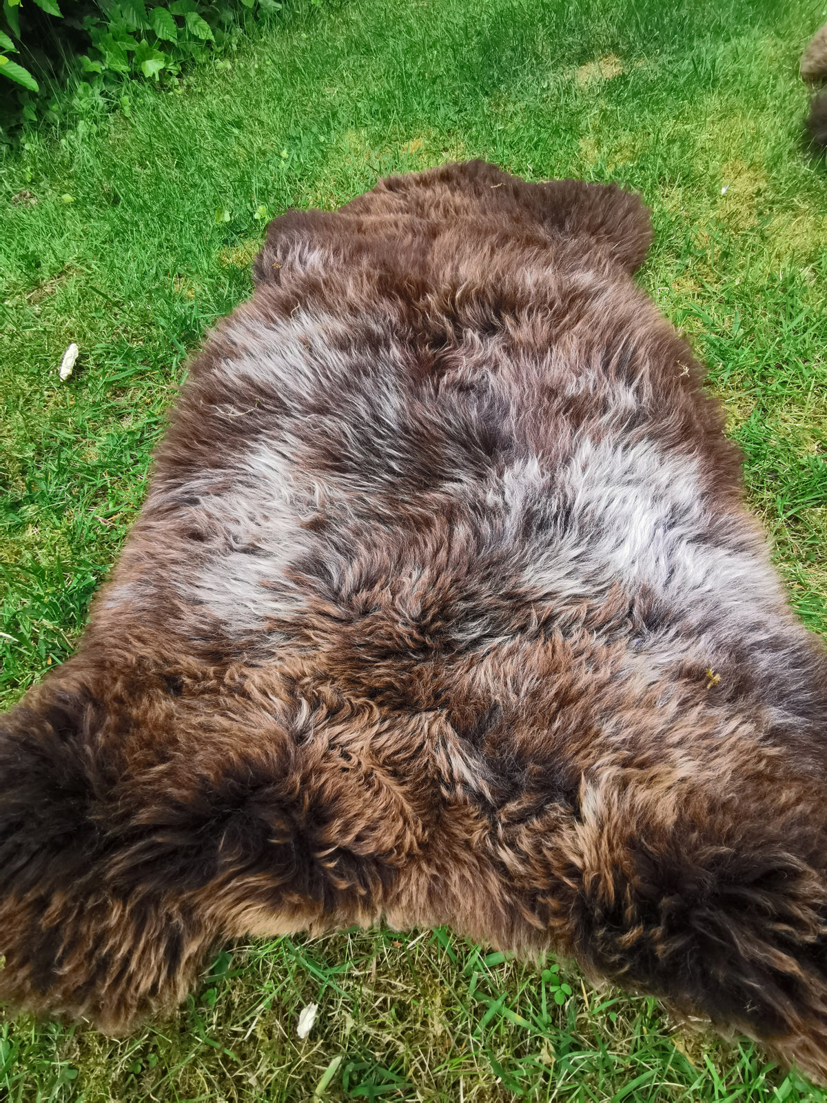 Rare premium furs in natural brown and grey melange