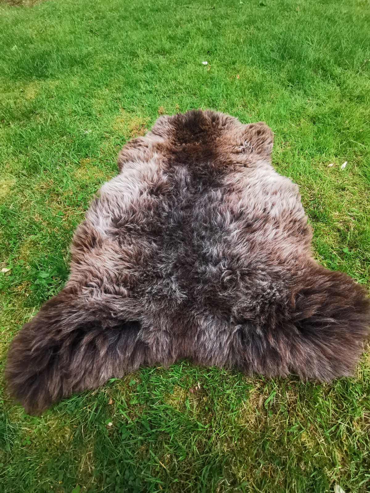 Rare premium furs in natural brown and grey melange