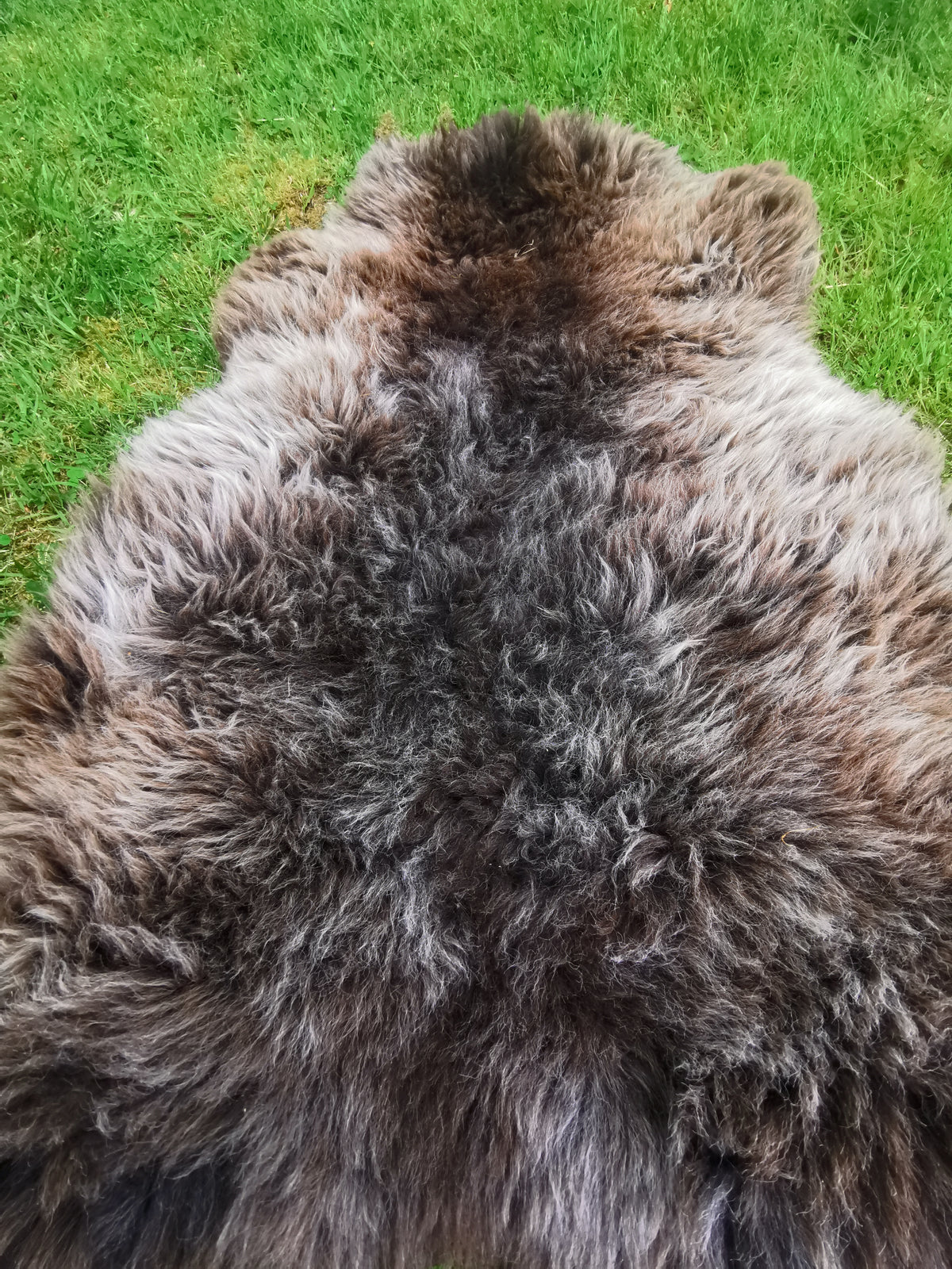 Rare premium furs in natural brown and grey melange