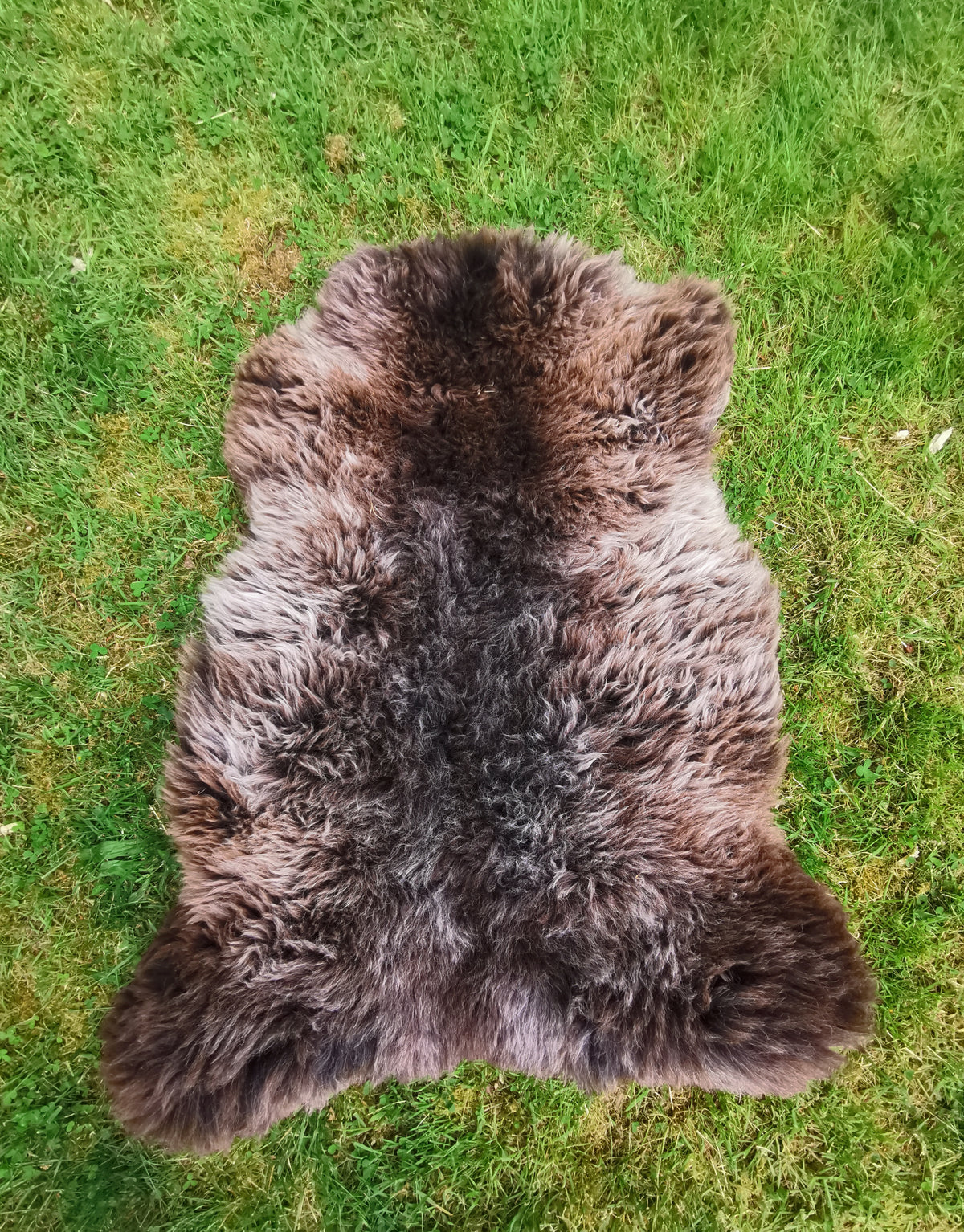 Rare premium furs in natural brown and grey melange
