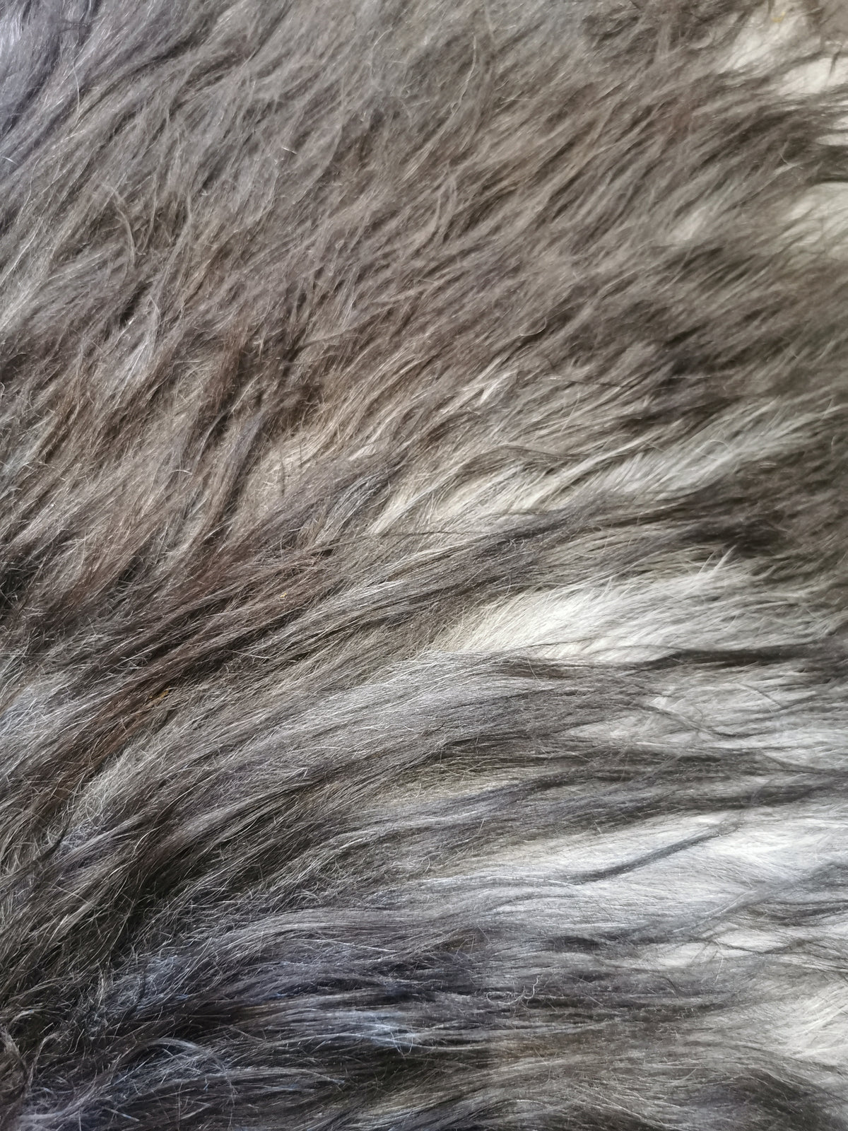 Rare natural Icelandic sheepskins, dark and grey melange