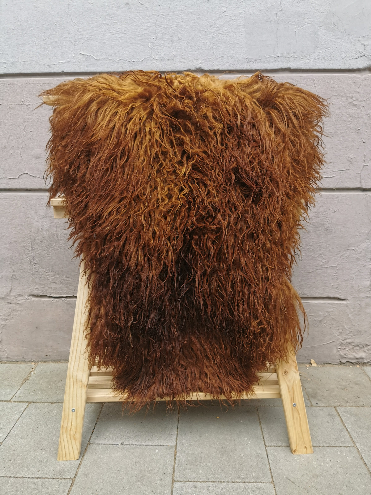 Island Schaffell Gold-Braun Ingwer Gelockt - Seltenes Lammfell 80-130 cm