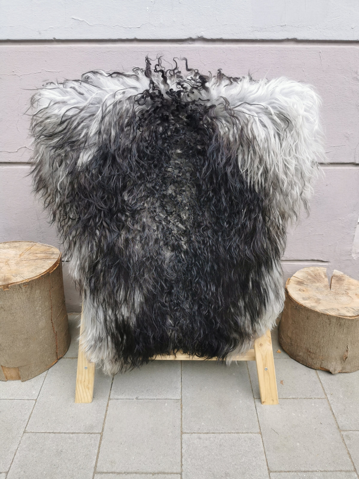 Rare curly Icelandic sheepskins in black flame pattern