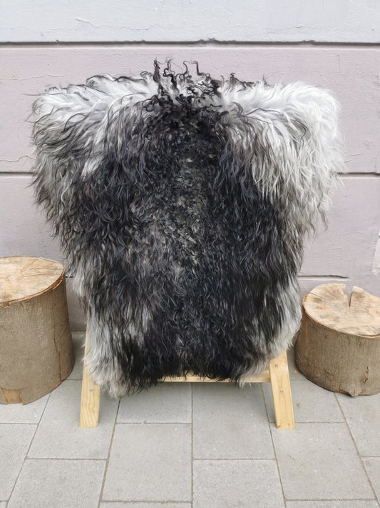 Island Schaffell Schwarz Geflammt Gelockt - Seltenes Lammfell 80-130 cm
