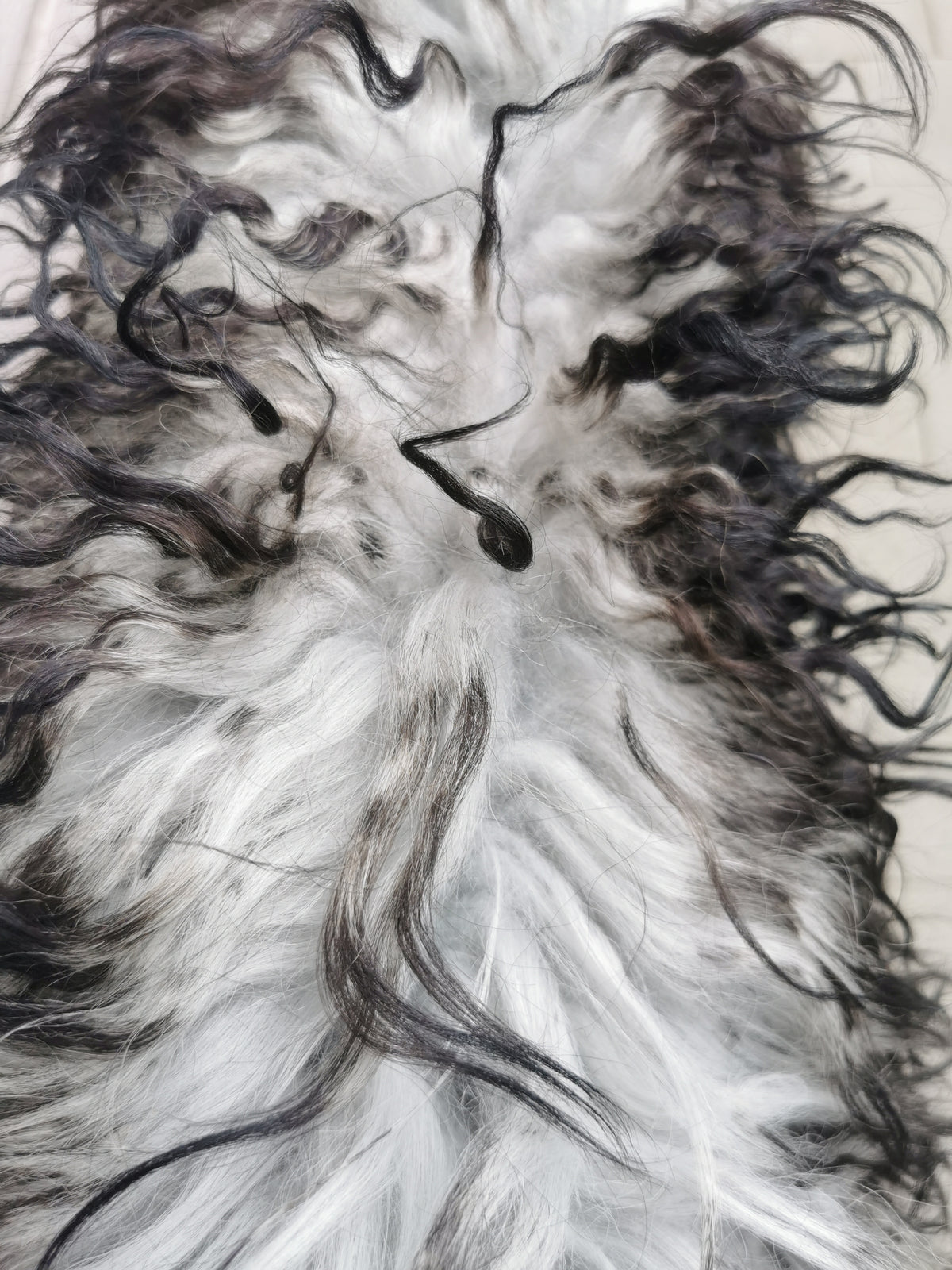 Rare curly Icelandic sheepskins in black flame pattern