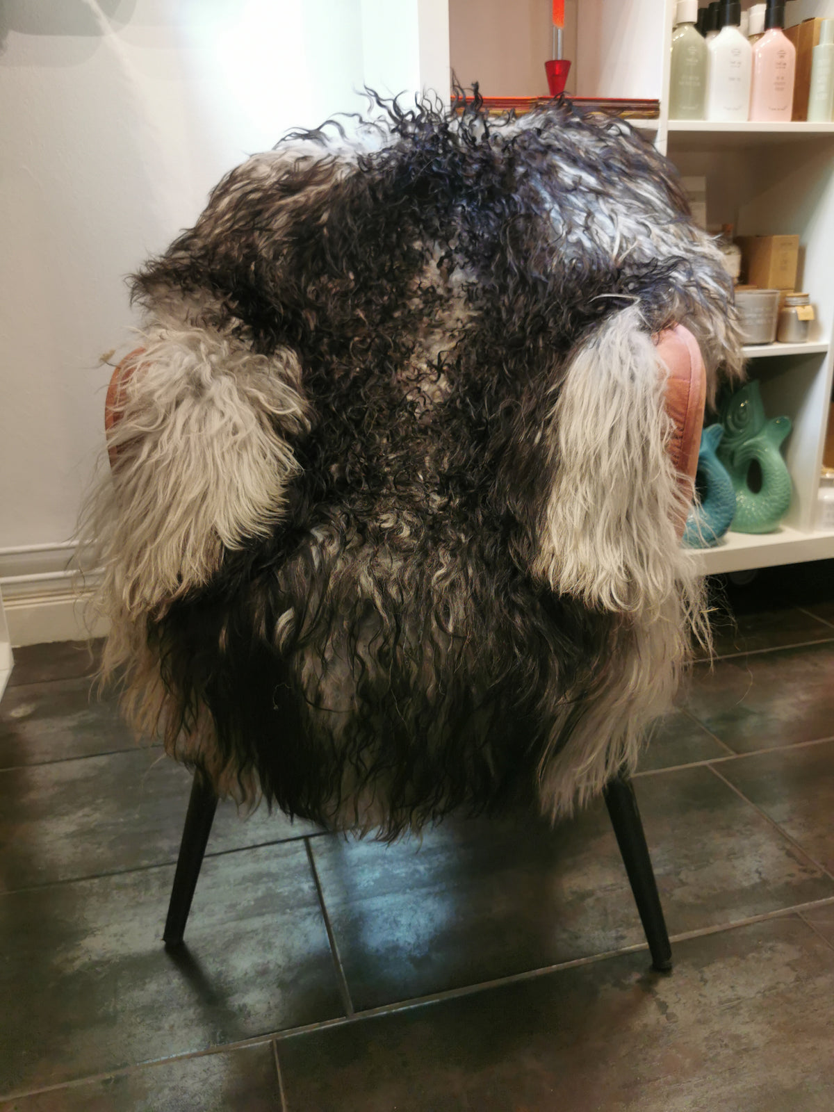 Rare curly Icelandic sheepskins in black flame pattern
