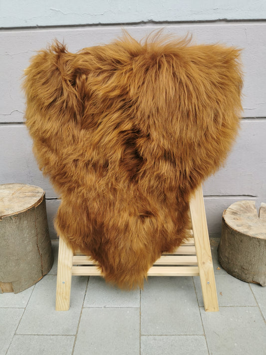 Island Schaffell Gold-Braun Ingwer - Seltenes Lammfell mit feinem Haar 80-130 cm