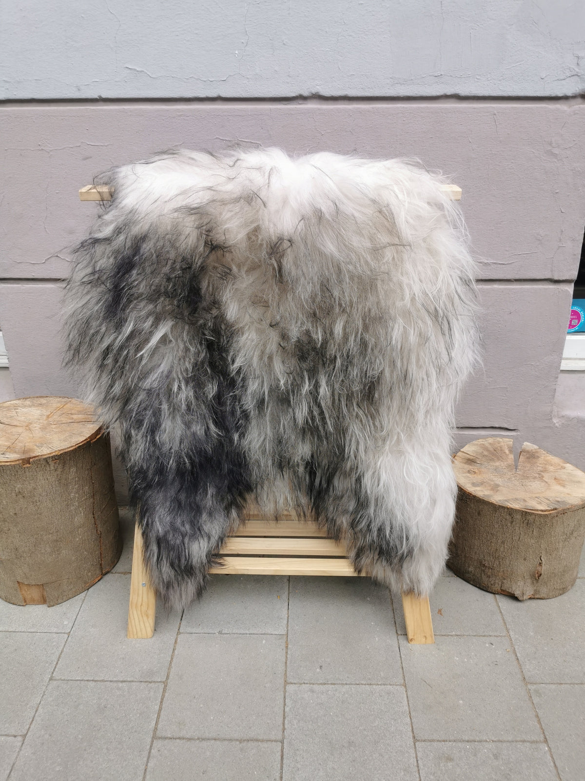 Rare Icelandic sheepskins, grey flamed