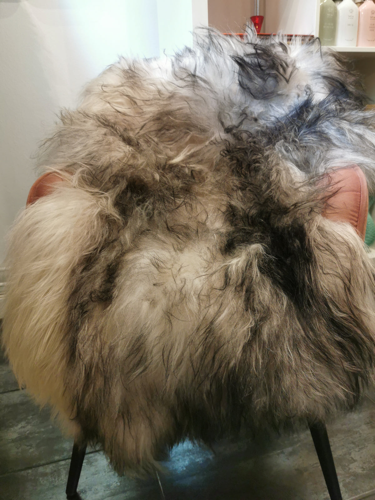 Rare Icelandic sheepskins, grey flamed
