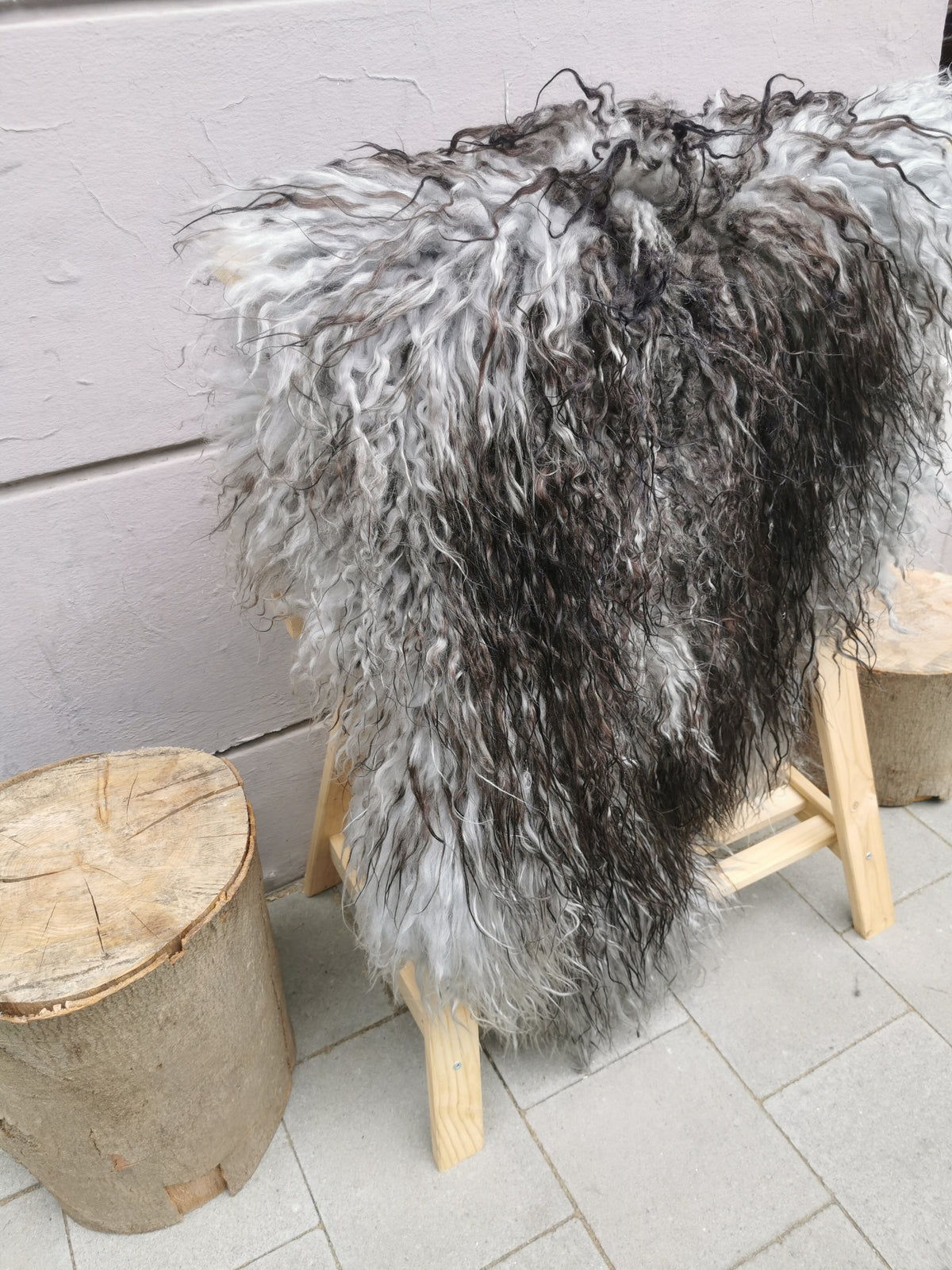 Rare Icelandic sheepskins, grey flamed curly