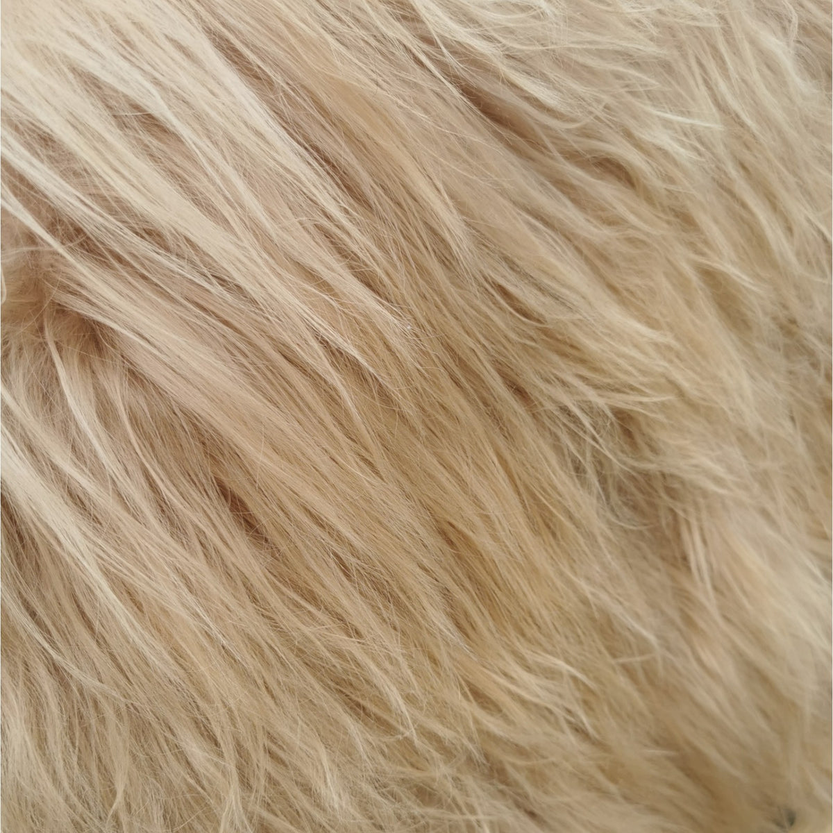 Schaffell 140 cm Beige - Echtes XXL Lammfell, Feltteppich & Sitzauflage
