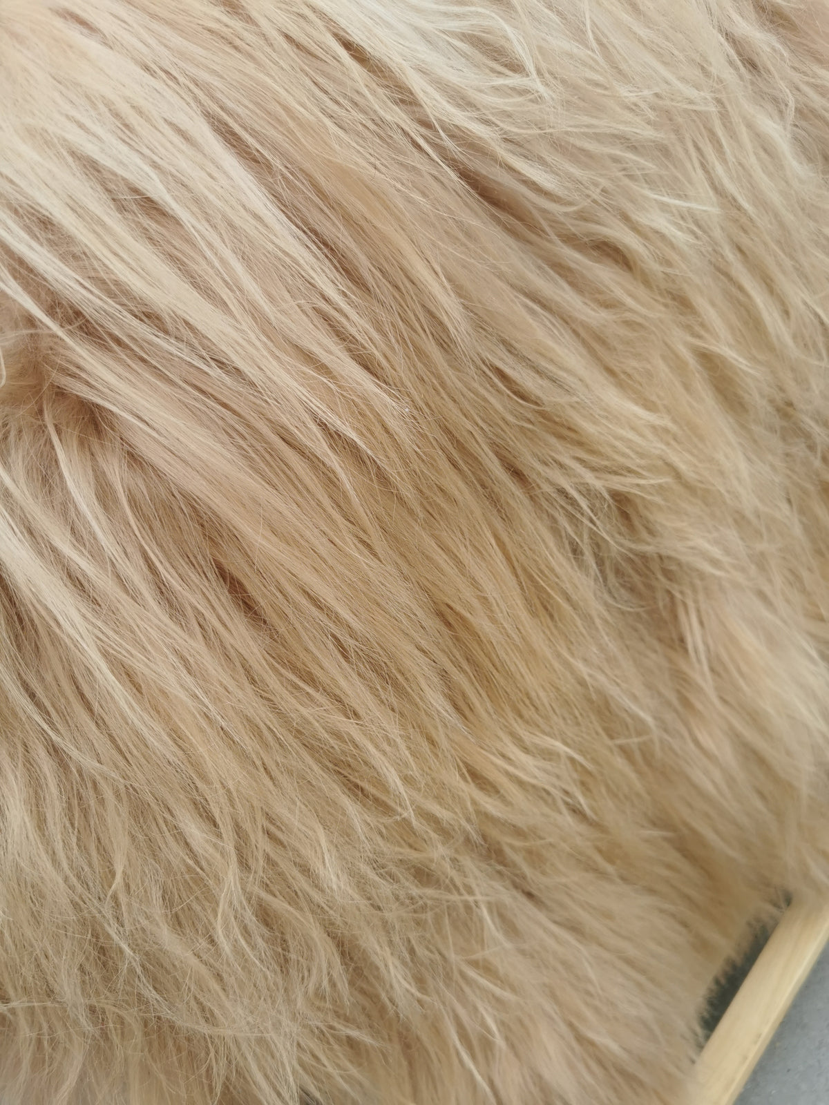 Island Schaffell Beige - Seltenes Lammfell mit feinem Langhaar 80-130 cm