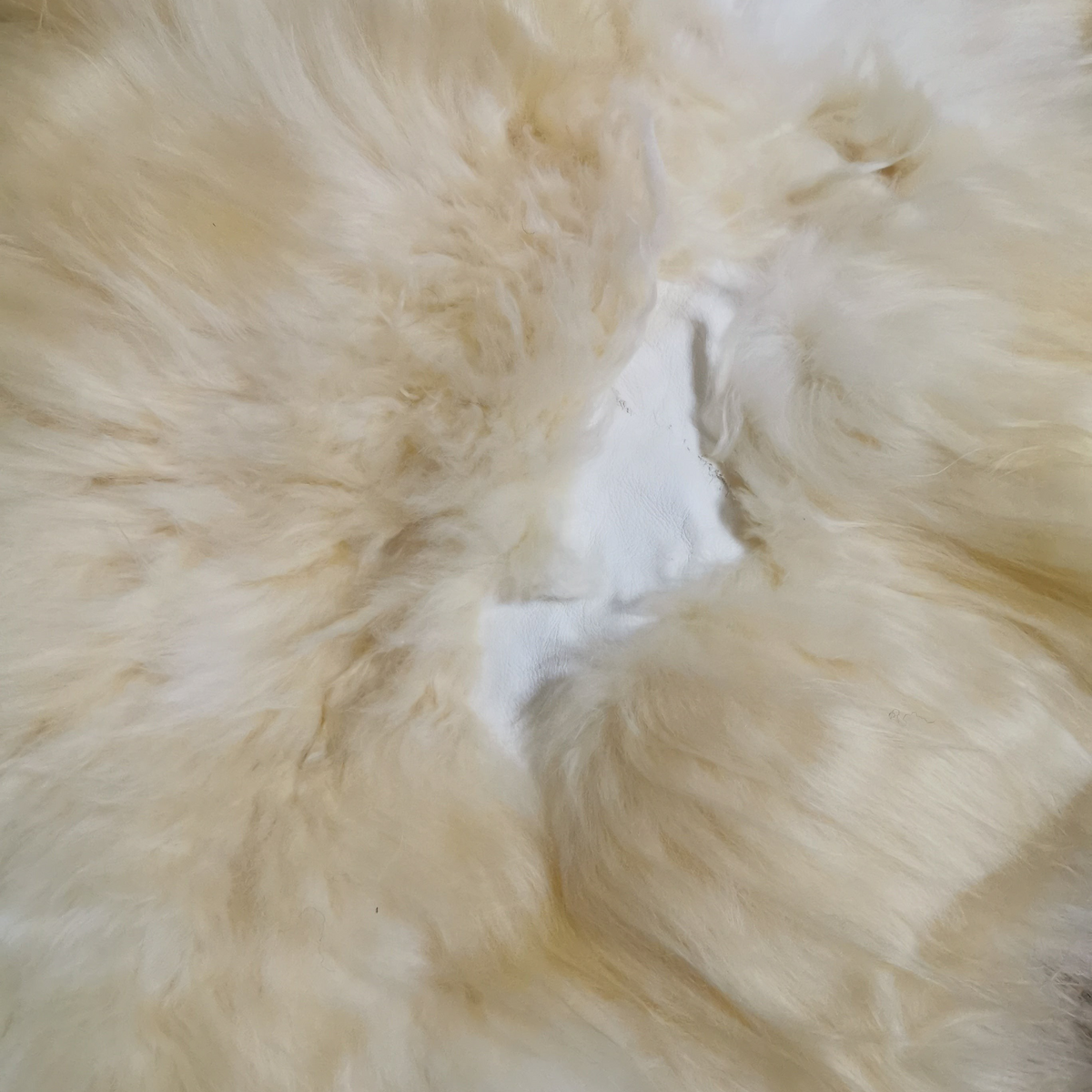 XXL Lammfell Schaffell Naturweiß Langhaar - 110-130 cm, 2. Wahl