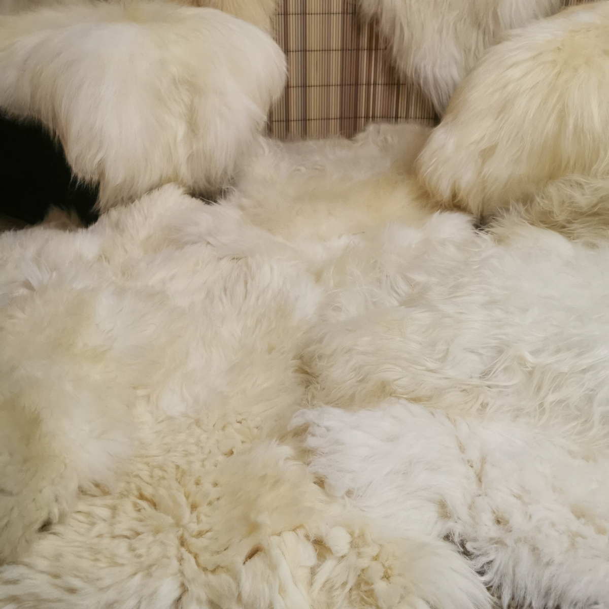 XXL Lammfell Schaffell Naturweiß Langhaar - 110-130 cm, 2. Wahl
