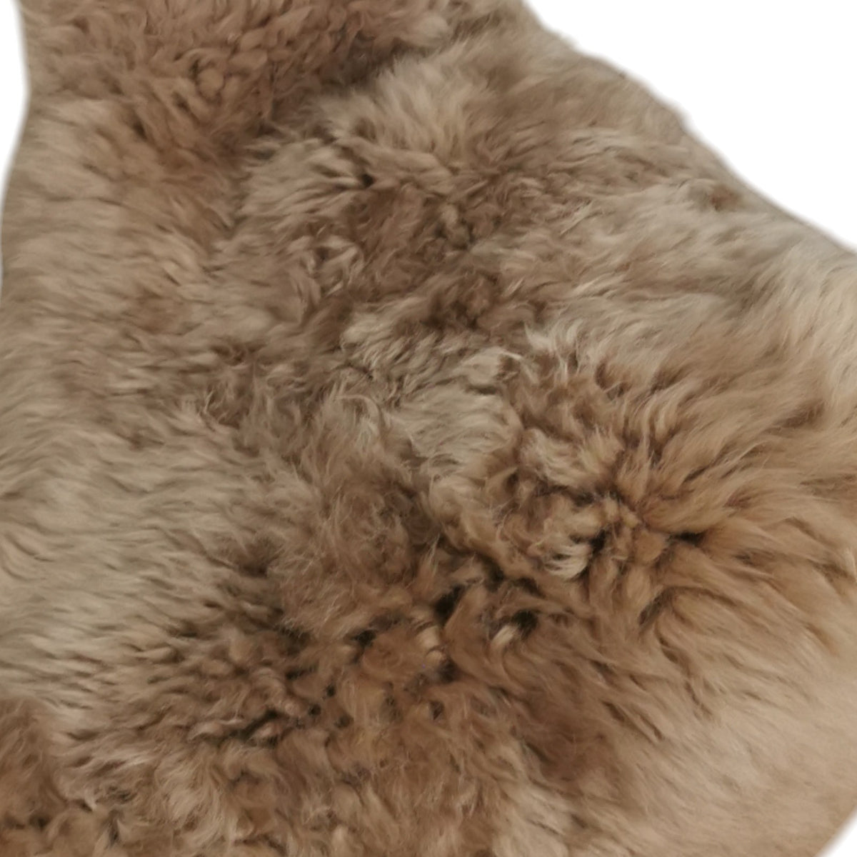 Schaffell 140 cm Beige - Echtes XXL Lammfell, Feltteppich & Sitzauflage