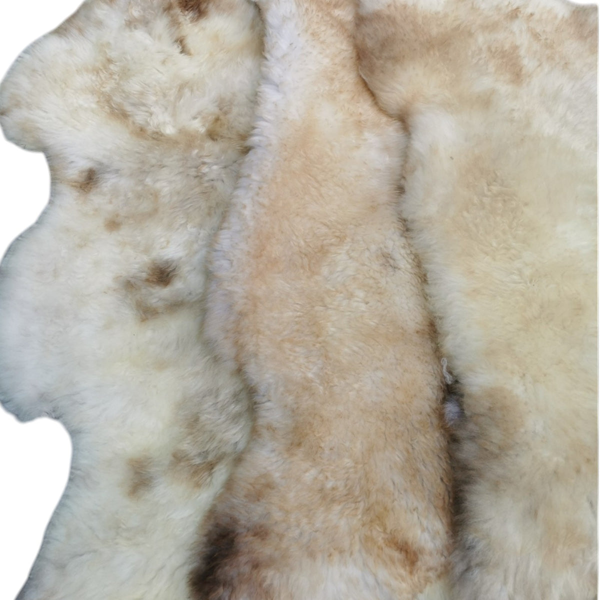 Top quality sheepskin rug | 140cm | Genuine lambskin | Decorative rug | Multicolor | Seat cushion