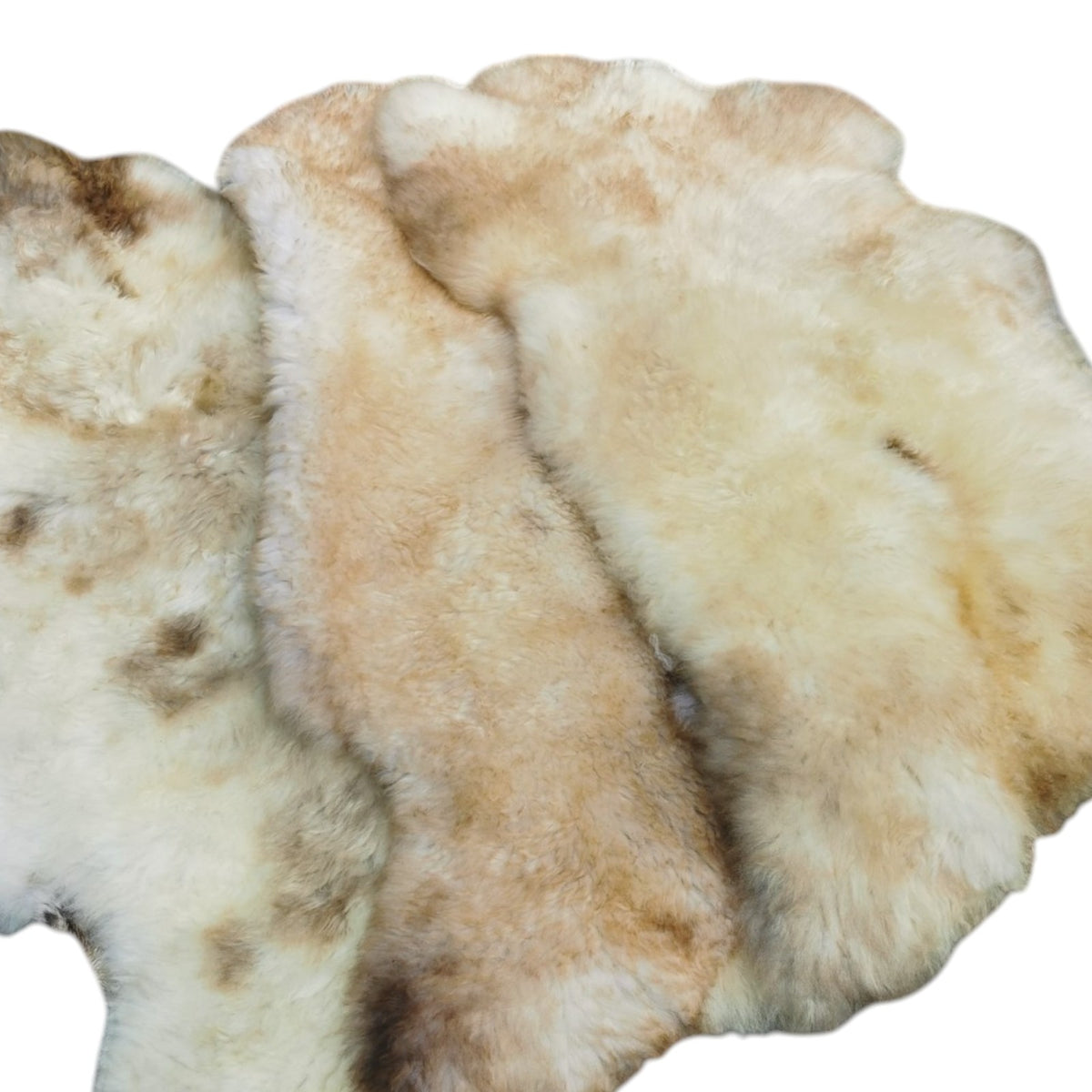 Top quality sheepskin rug | 140cm | Genuine lambskin | Decorative rug | Multicolor | Seat cushion