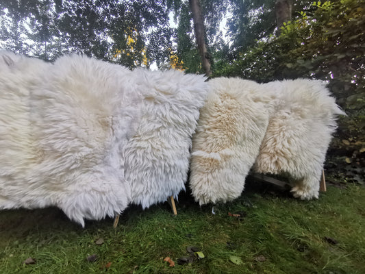 XXXL Weißes Riesen Schaffell - Ökologischer Fellteppich 140-155 cm, Erste Wahl