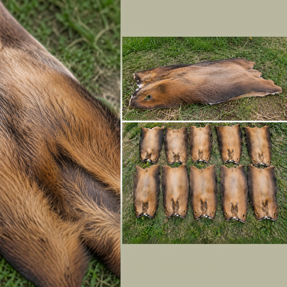 BillyGreen 10er Set XXL Nutriafelle in natürlichem Braun, naturbelassen und weich gegerbt für Bastel- und LARP-Projekte