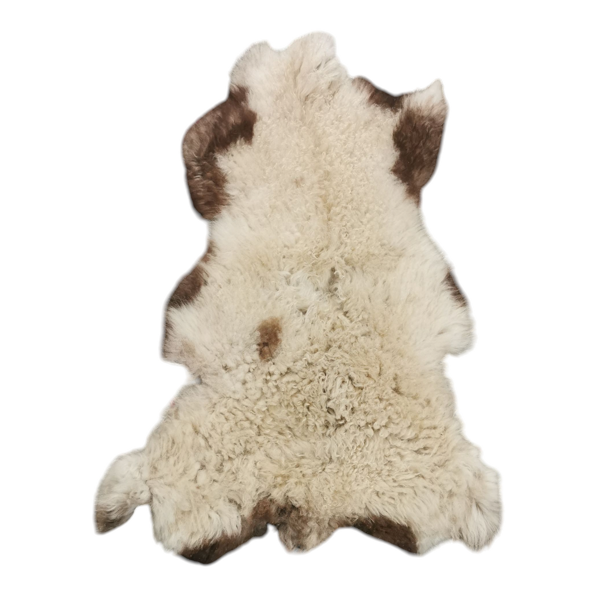 Schaffell 140 cm Gefleckt Jacob - Echtes XXL Lammfell, Feltteppich & Sitzauflage