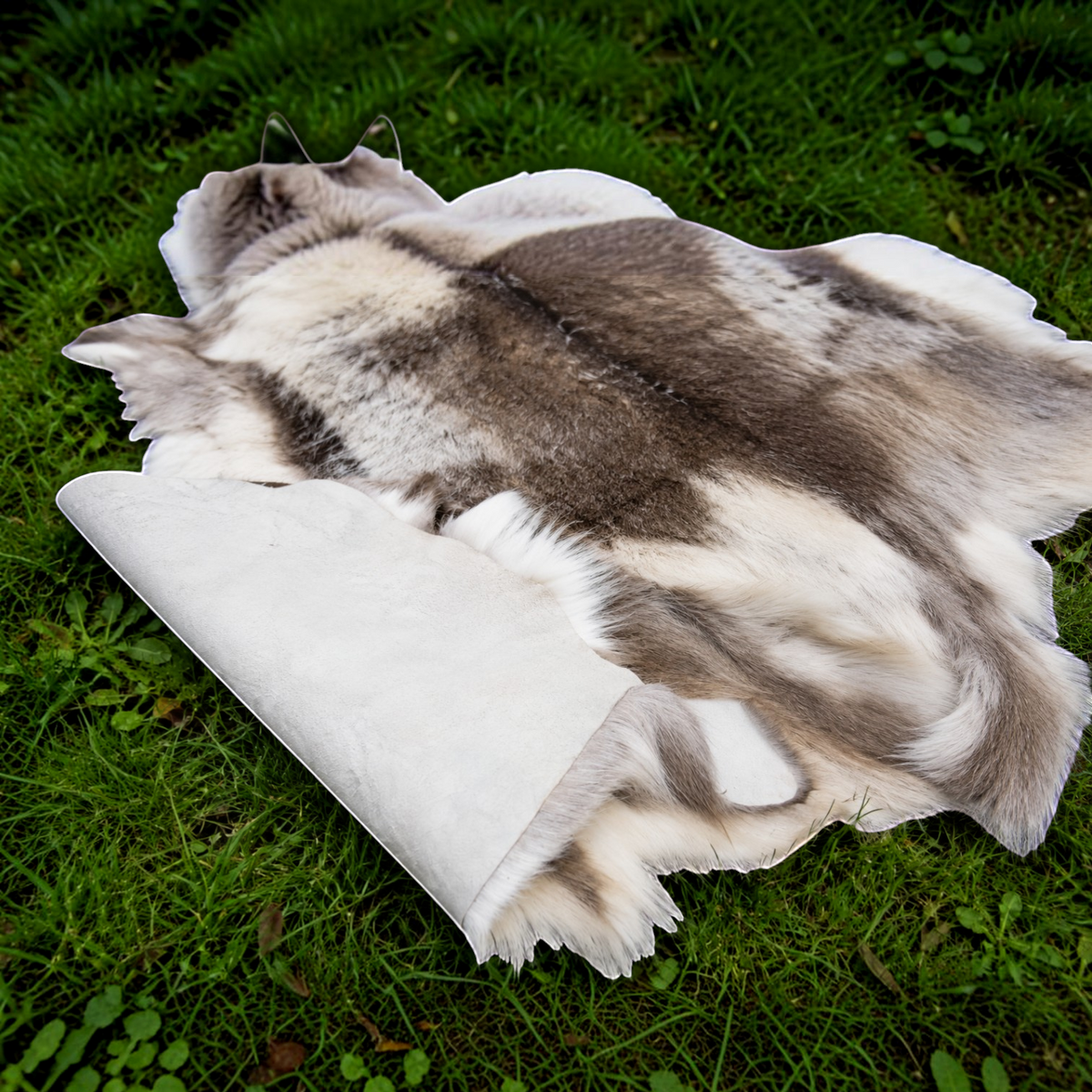 Echtes XL Rentierfell aus Finnland - Premium, ökologisch gegerbt, 130-150 cm