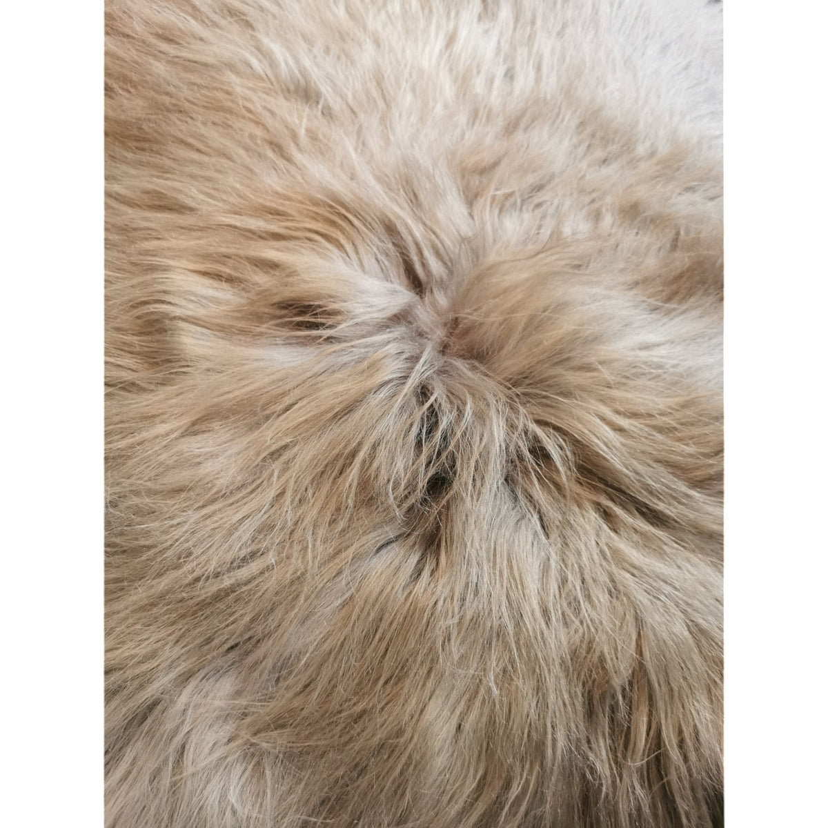Schaffell 140 cm Taupe - Echtes XXL Lammfell, Feltteppich & Sitzauflage