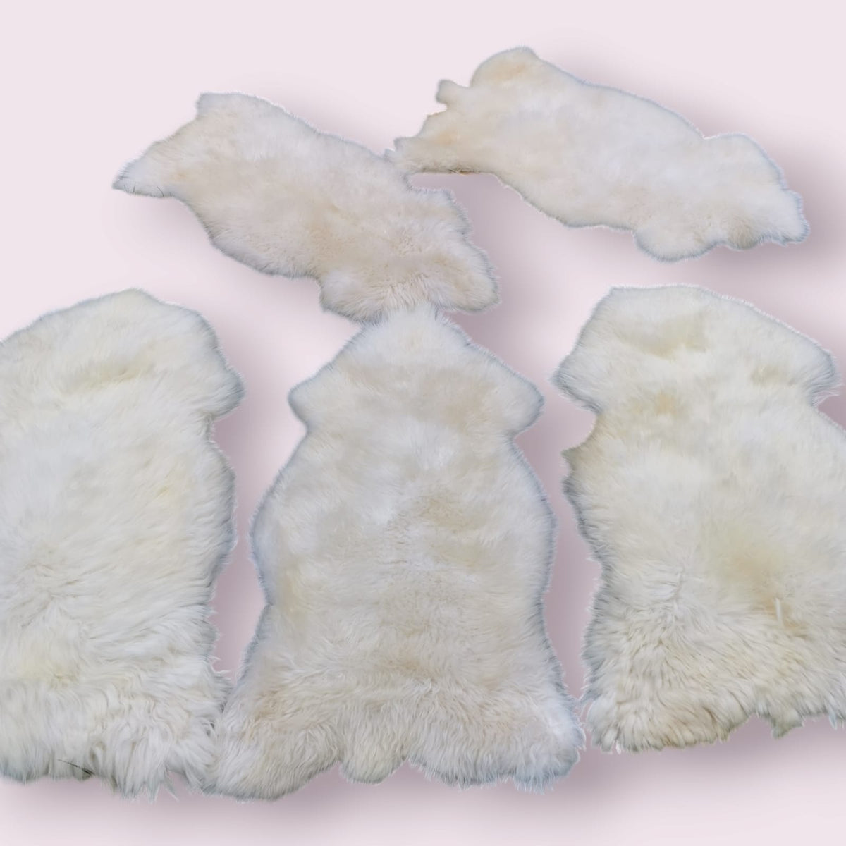 100-110cm Große Schaffelle, Bio Lammfell, Echt Fell, Natur-Weiß, Neu Schafsfell