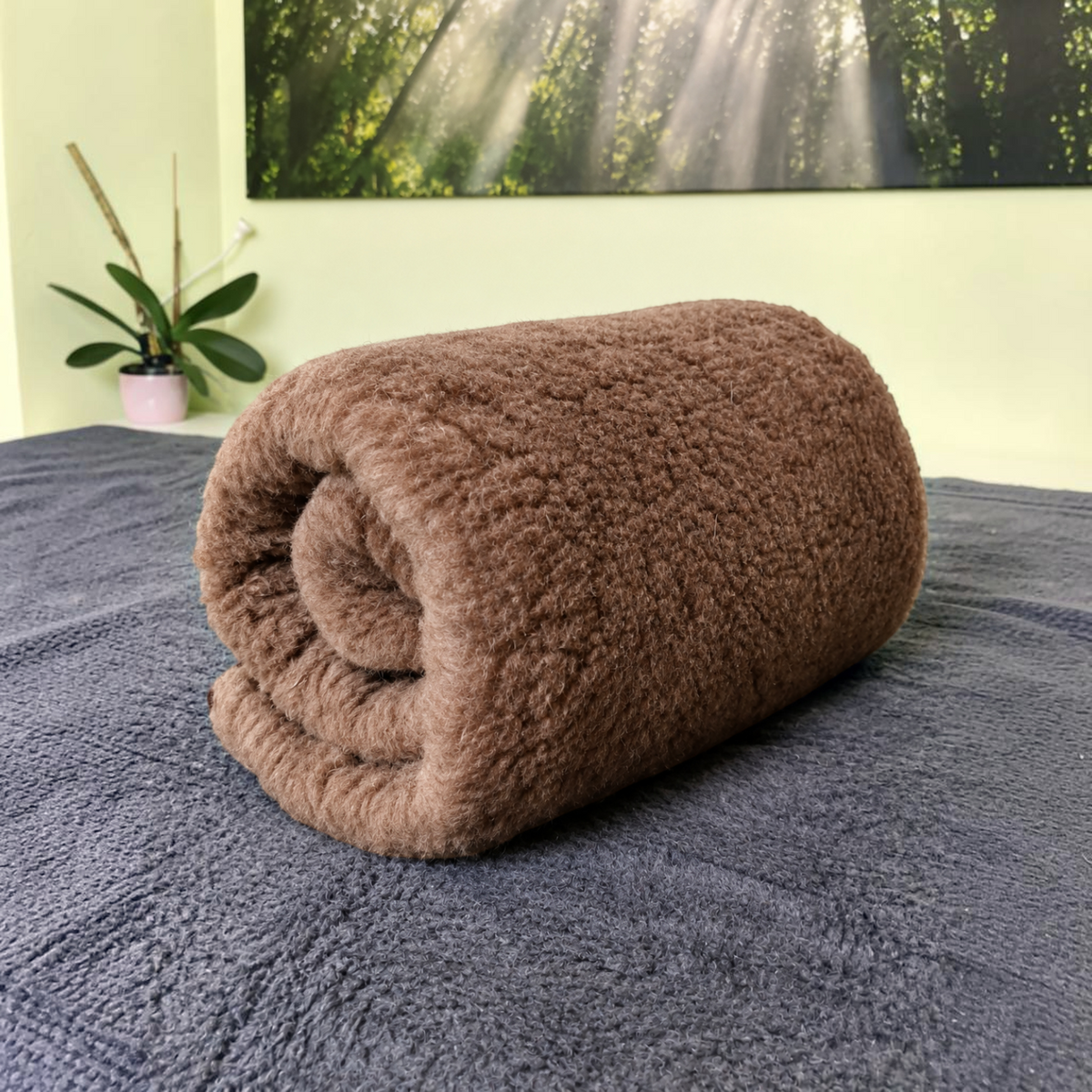 BillyGreen Merino Wolldecke in Hellbraun, weiche und voluminöse Schurwolle als zusammengerollte Kuscheldecke