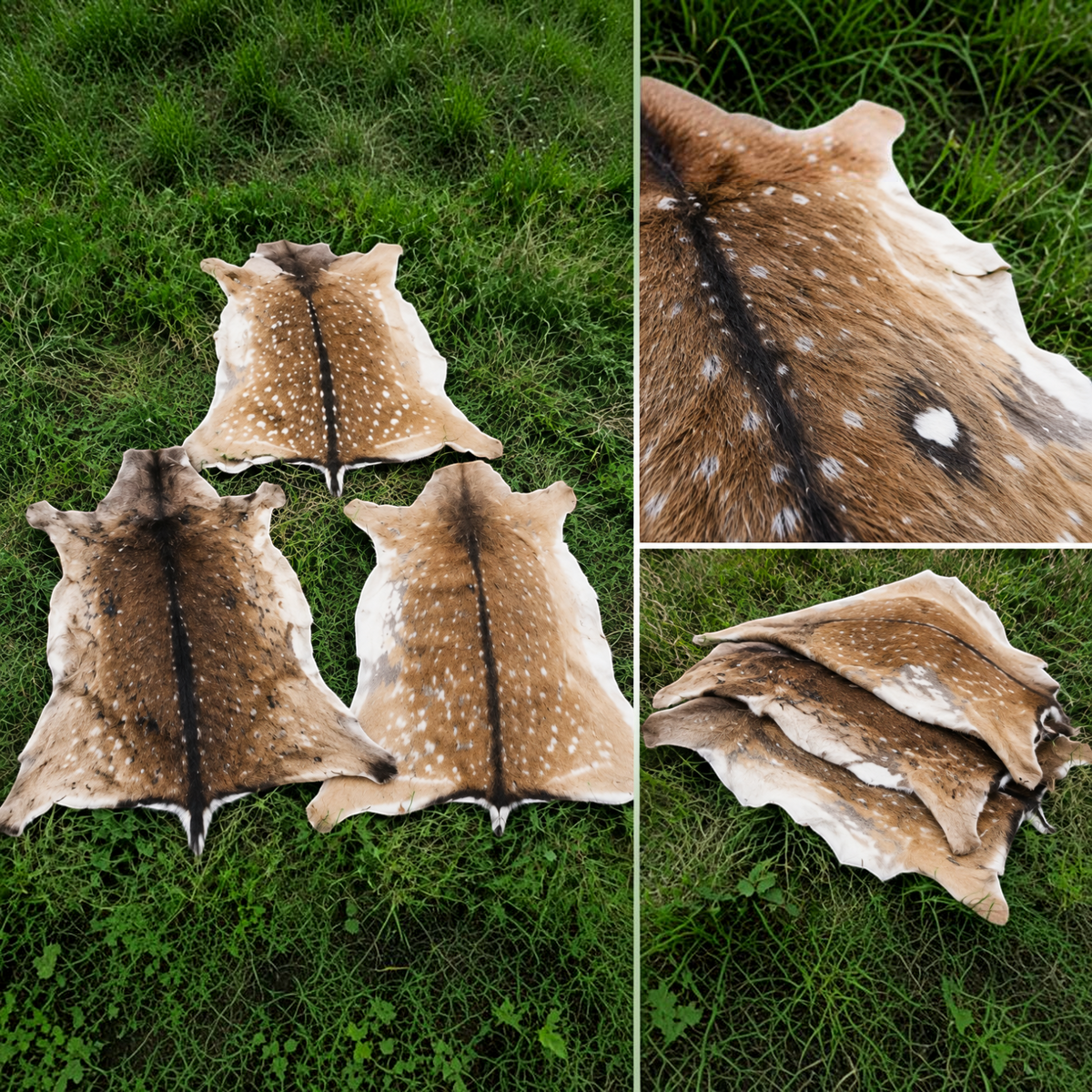 BillyGreen Damwildfell als ökologisch gegerbtes Naturprodukt mit charakteristischer Punktzeichnung auf Gras